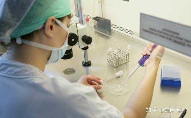 试管婴儿费用盘点：一代、二代、三代及供卵价格区间